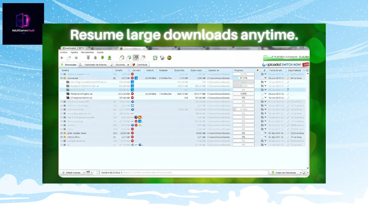 how to use JDownloader 2