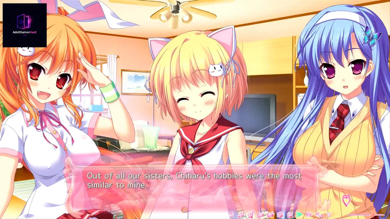 Imouto Paradise series